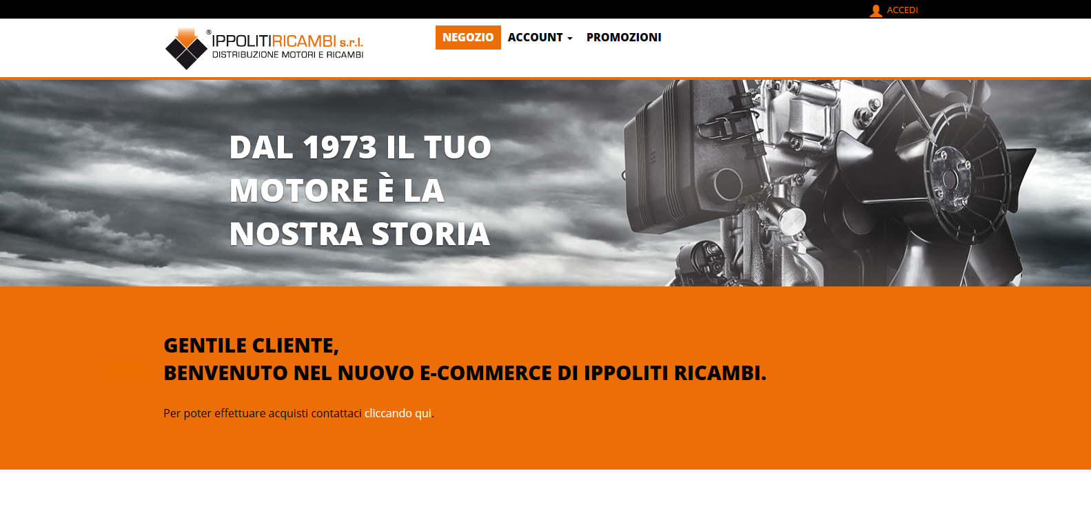 Ippoliti ricambi E-commerce